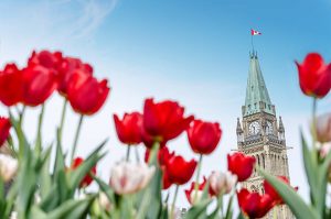 Festival de tulipán Canadá