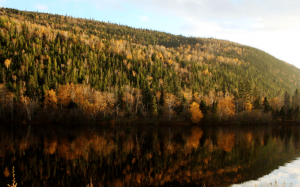 Parque Nacional Saguenay