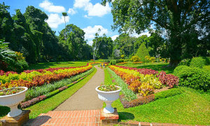 Royal Botanical Gardens (RBG)